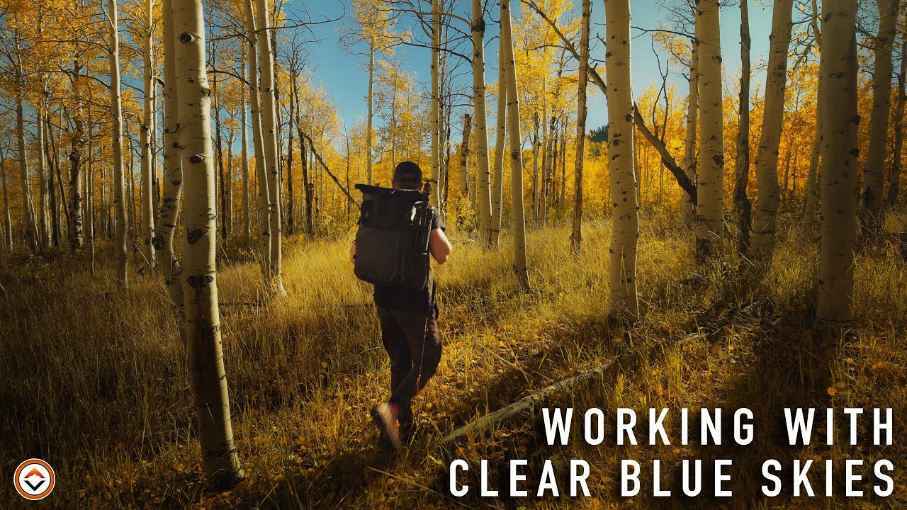 Challenging my Photography Skills | Searching for Abstract Fall Photos in Utah's Wasatch Mountains