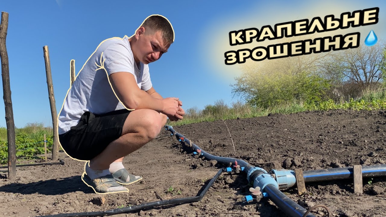 КРАПЕЛЬНЕ ЗРОШЕННЯ💧Як поливати малину⁉️Поливна система від А до Я⁉️#чп