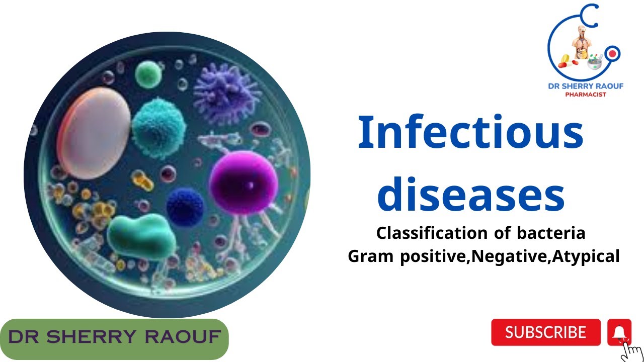 clinical pharmacy course - infectious diseases - bacteria classification
