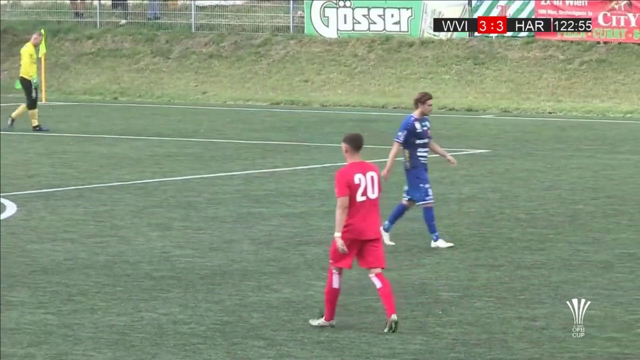 20.07.2019 | 17:30 | SC Wiener Viktoria (WVI) - TSV Prolactal Hartberg (HAR) | Highlights