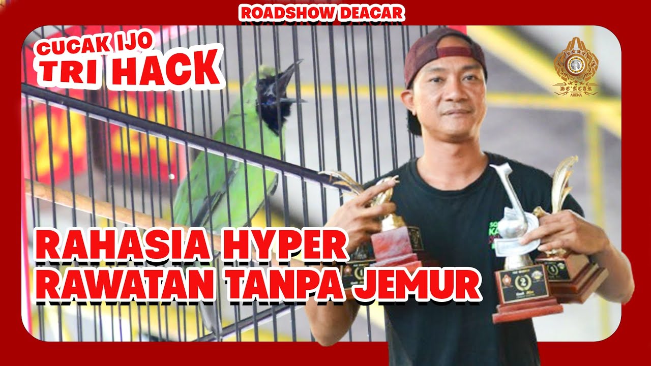 [CI TRI HACK] Settingan Cucak Ijo Main Hyper Cucak Ijo Tri Hack IJO HIPER DEACAR ZHK ARENA HoBi ID