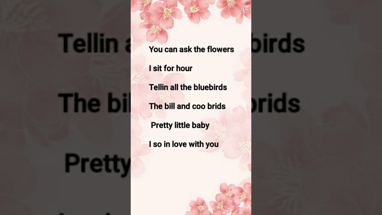 YOU CAN ASK THE FLOWERS SONG LYRICS 