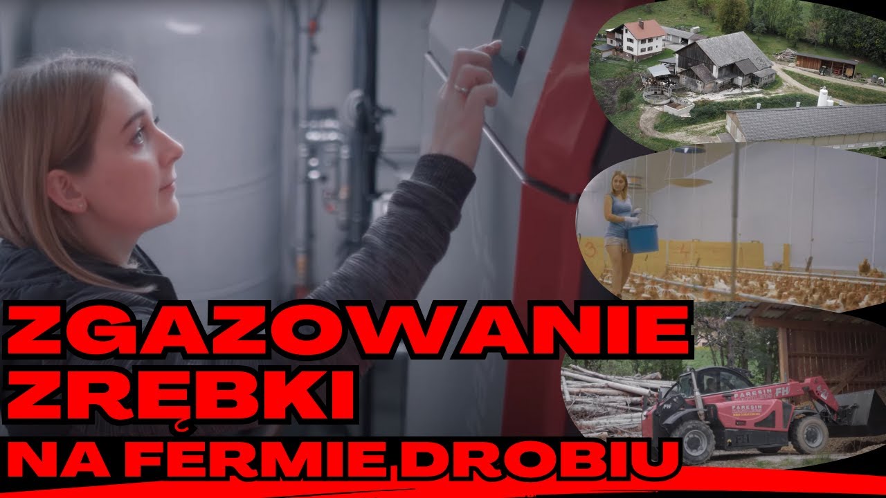 KOCIOŁ NA ZGAZOWANIE ZRĘBKI W GOSPODARSTWIE ROLNYM #zgazowanie #gaz #zrebka #zeromisyjny #oze #holz