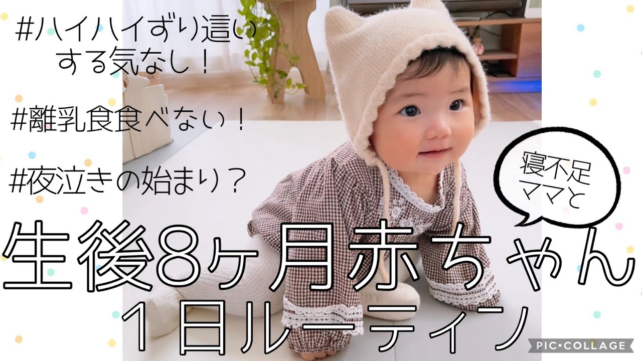 【生後8ヶ月】赤ちゃんとワンオペママの1日ルーティン／離乳食食べないベビー／ハイハイしない／夜泣き対応で寝不足