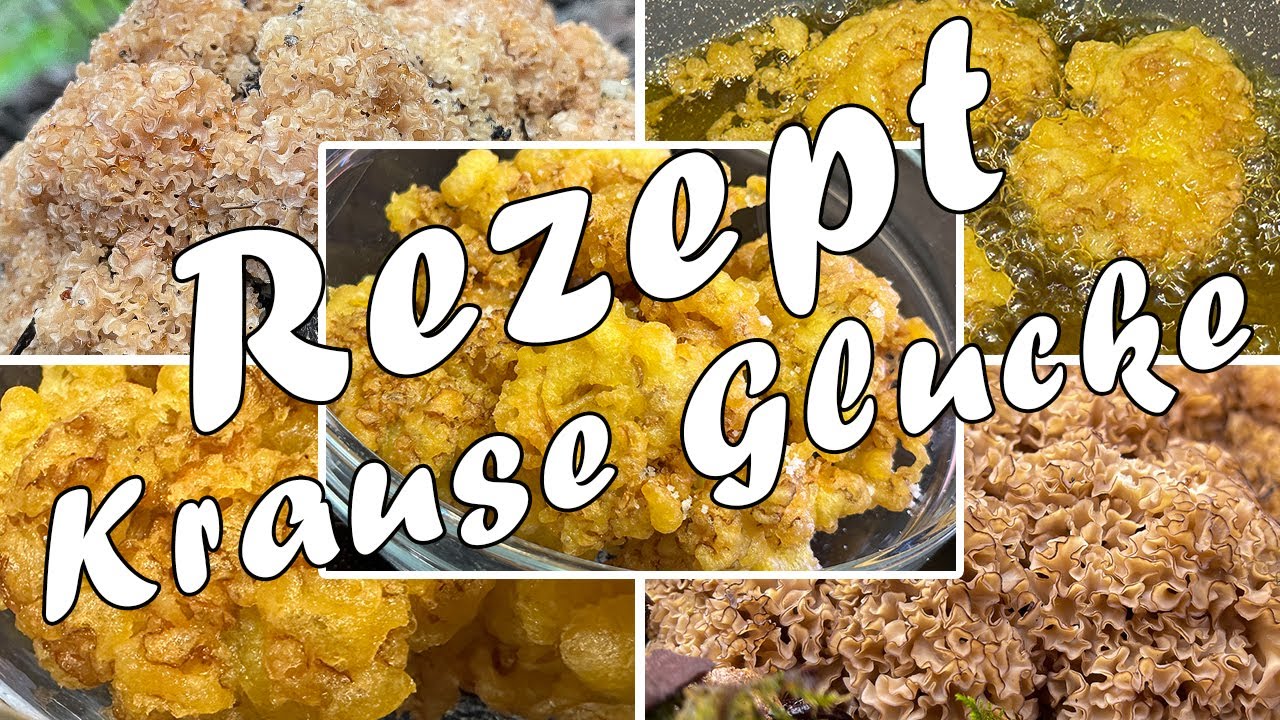 Krause Glucke zubereiten | Rezept | Wie reinige ich die Krause Glucke? | Krause Glucke Verwechslung