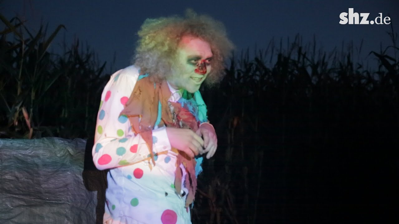 80.000 qm Horror: So gruselig ist das Maislabyrinth in Sieversdorf