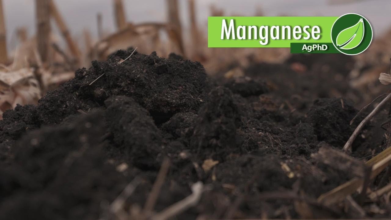 Manganese #1024 (Air Date 11-19-17)