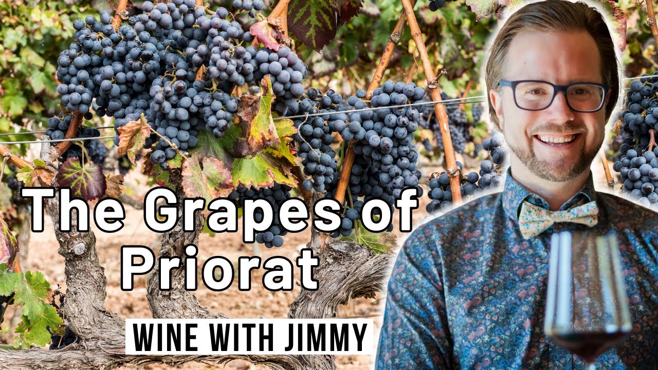 Exploring Garnacha and Cariñena from Priorat for WSET Level 4 (Diploma)