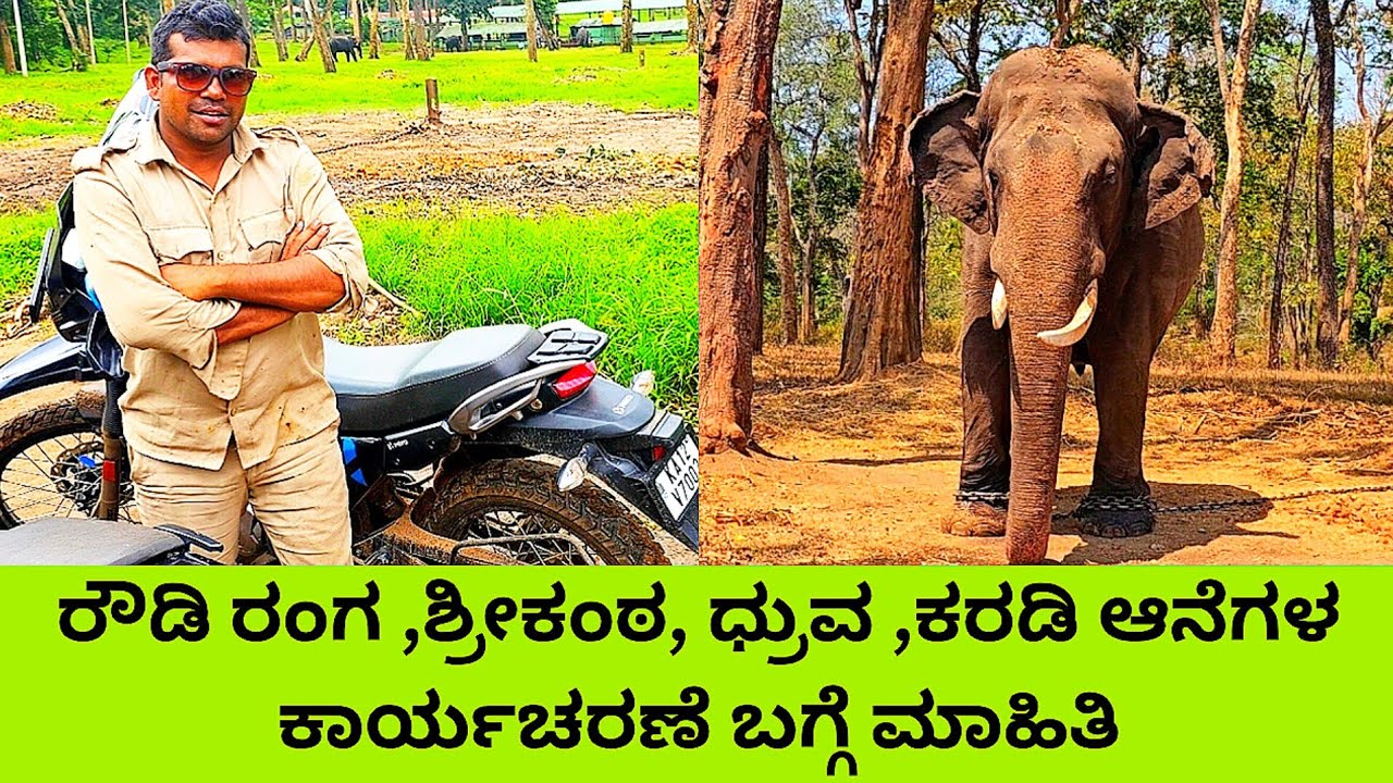 ರೌಡಿ ರಂಗ ಶ್ರೀಕಂಠ ಧ್ರುವ ಕರಡಿ ಆನೆಗಳ ಕಾರ್ಯಾಚರಣೆ  ಬಗ್ಗೆ ಮಾಹಿತಿ