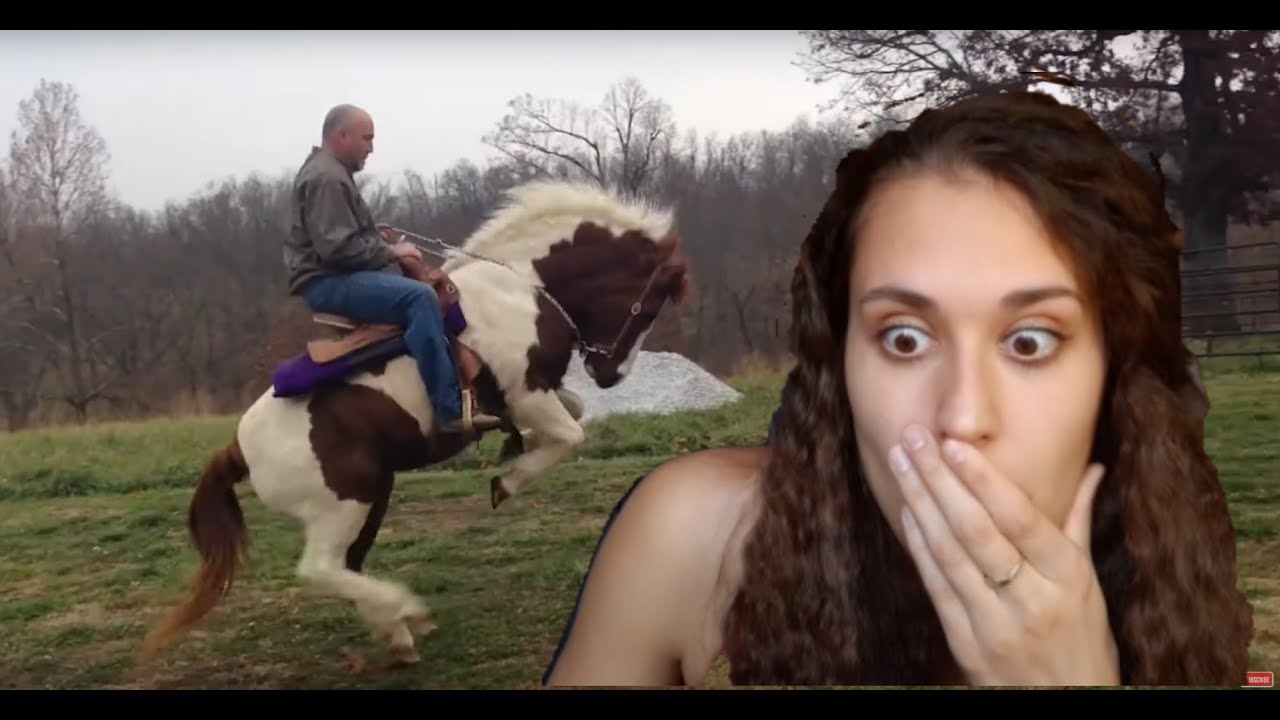 Ten kůň je zabij&aacute;k  ✰KoňoReddit✰
