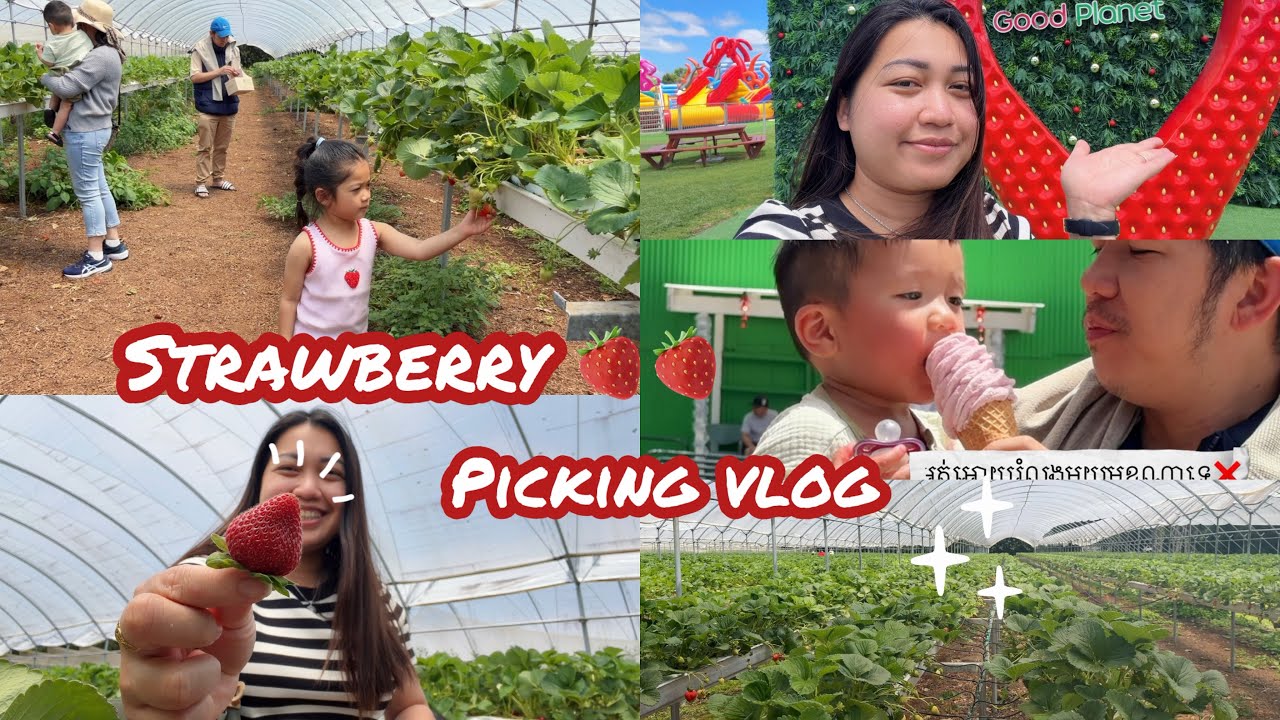 Strawberry picking vlog with family
