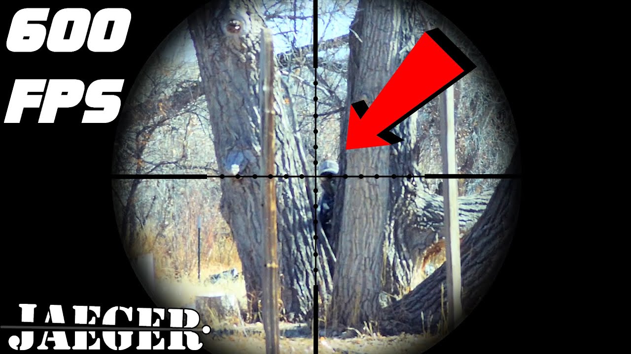 Insane Headshots with 600 FPS Sniper Rifle
