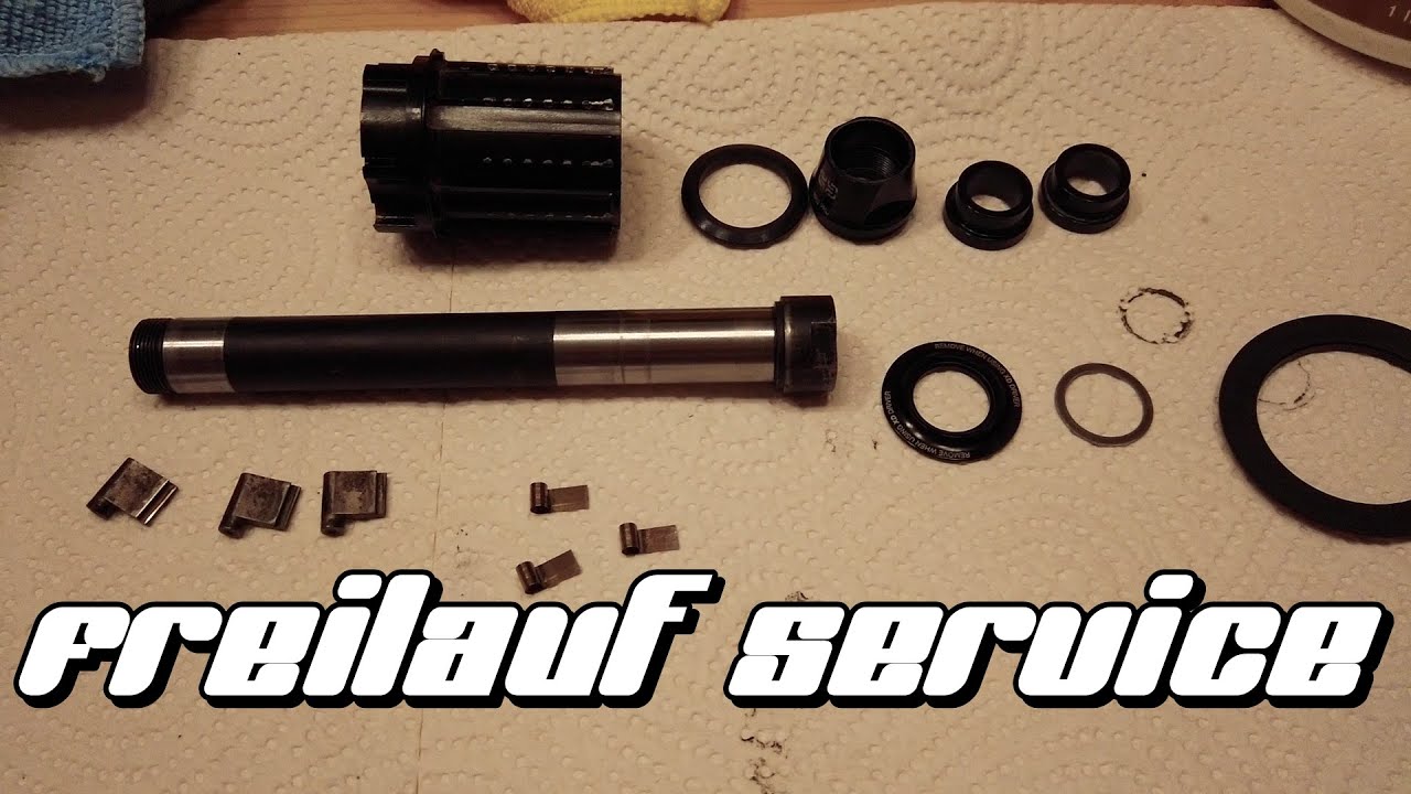 Freilauf Service MTB | Ausführliche Schritt für Schritt Anleitung [Techtalk]
