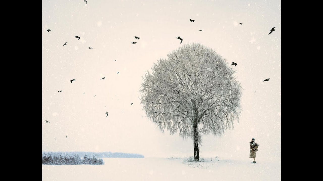 Field of the Snow Tree (song title)