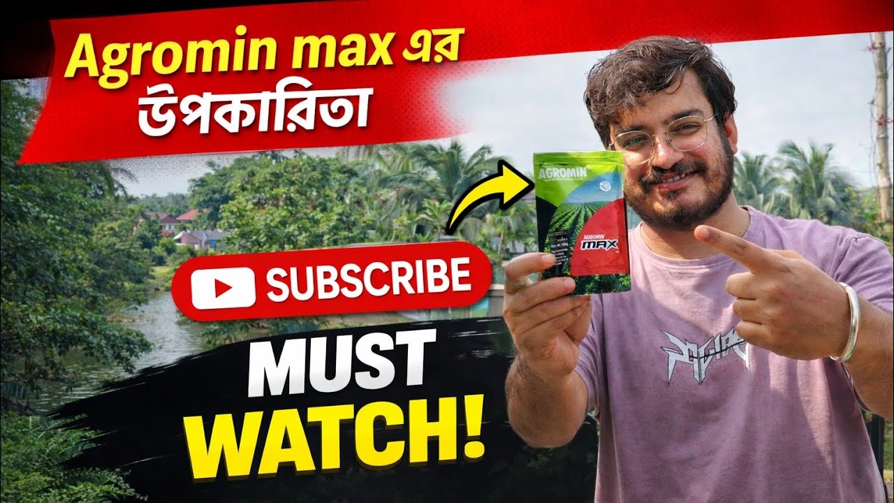 Agromin max ব্যবহার ও উপকারিতা| Agromin max micronutrients fertilizer 