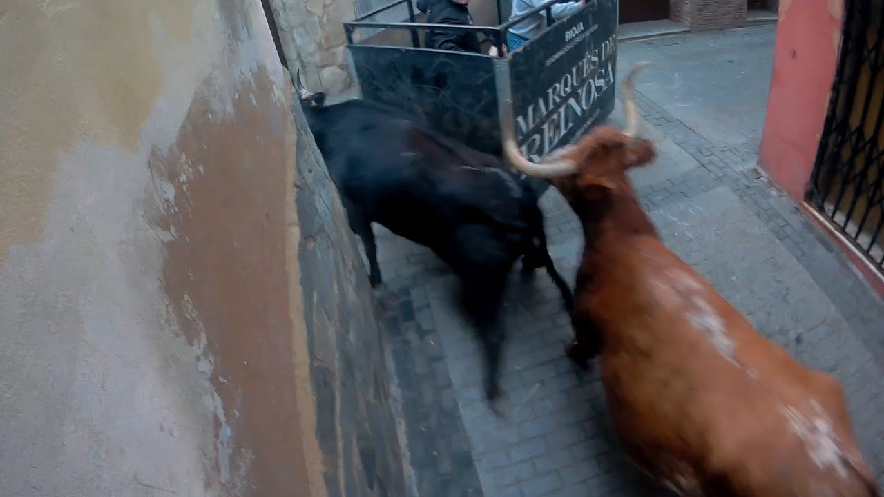 Conseguirán parar a las vacas?? Autol (La Rioja) 1 de febrero 2020