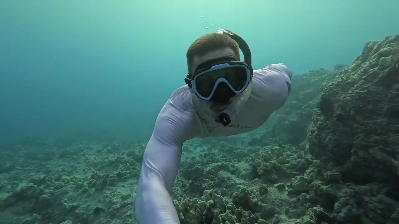 Puako Bay Snorkel- End of the Road Area