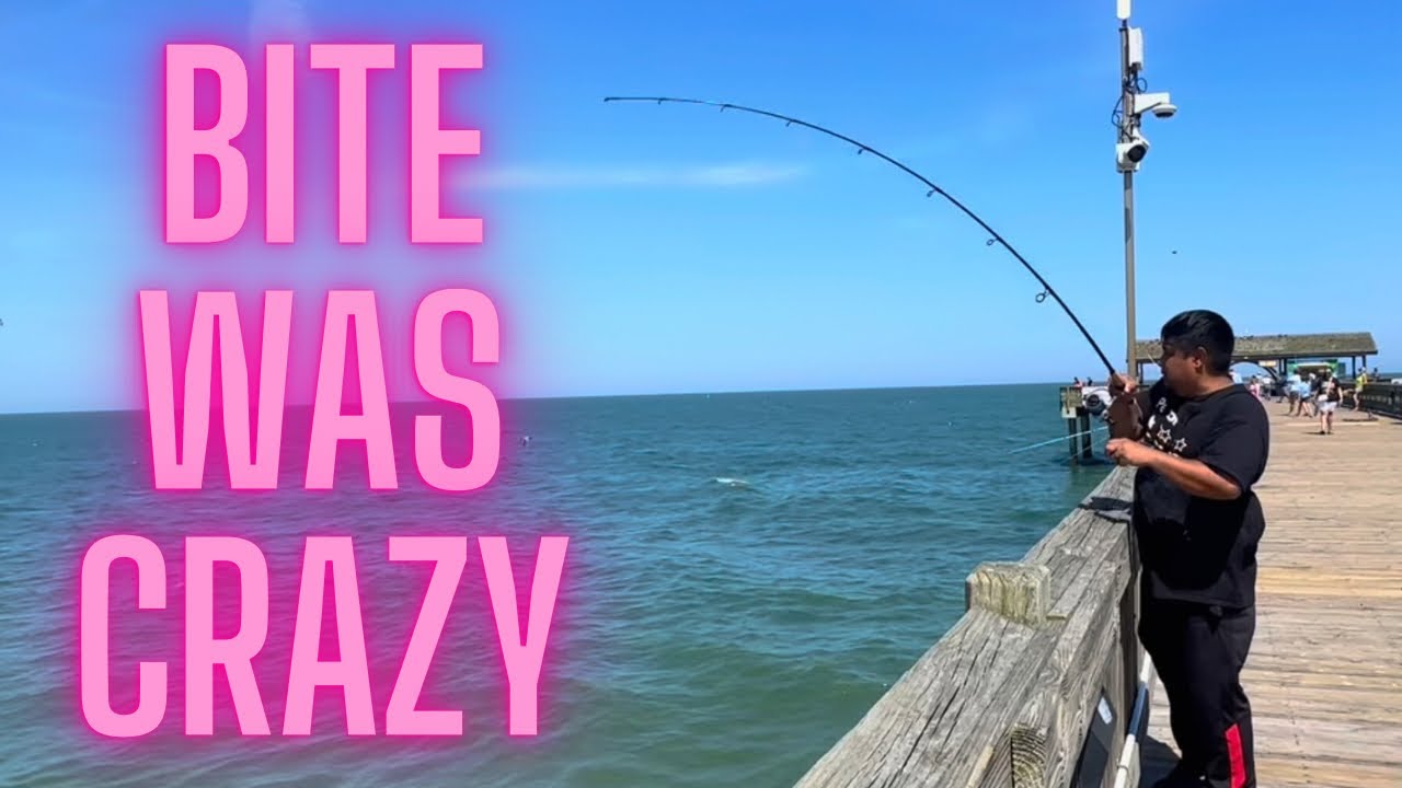 Every Cast Was INSANE! Tybee Island Pier Fishing Gone Wild (2025)