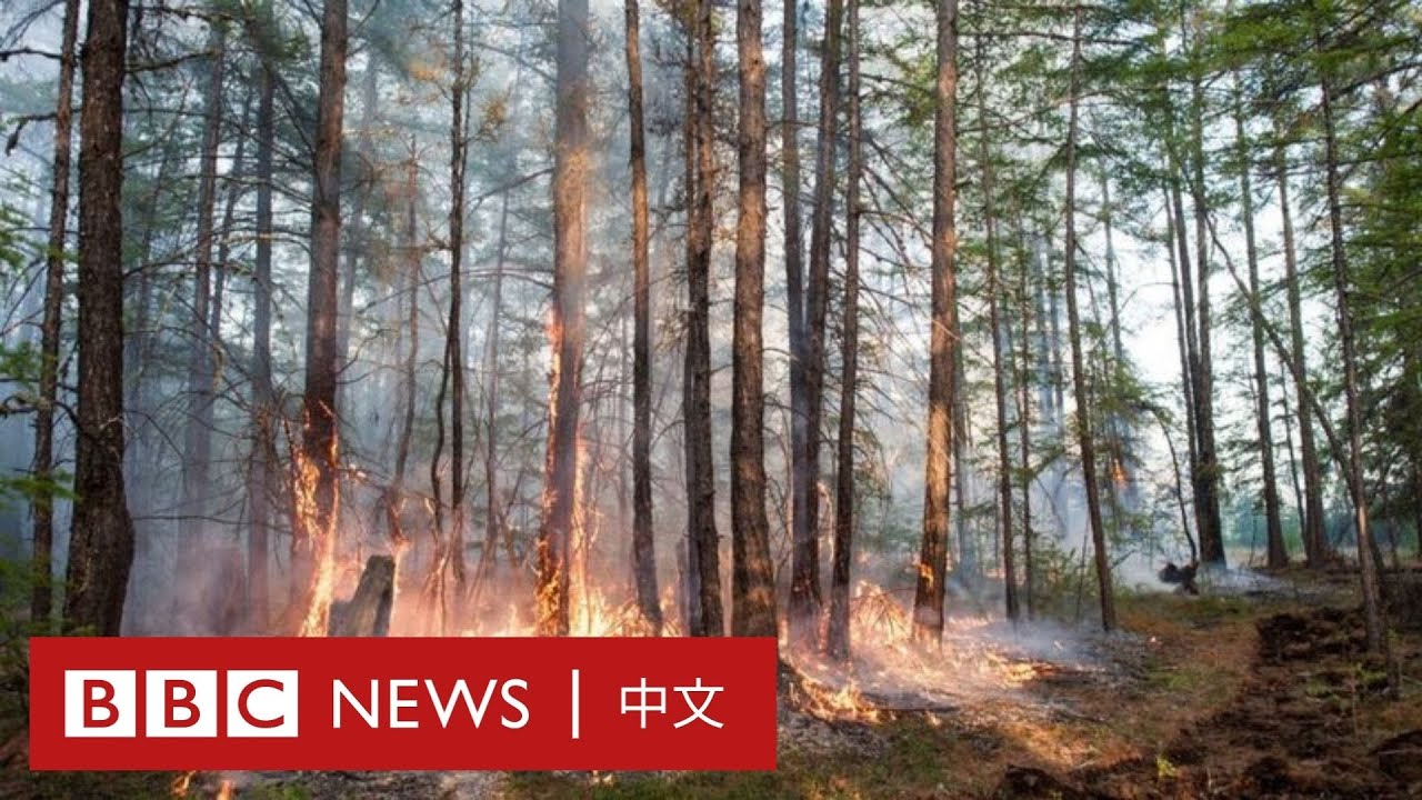 西伯利亞森林大火影響驚人 全球暖化陷惡性循環－ BBC News 中文