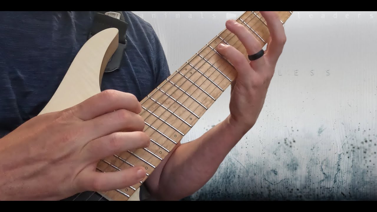 “Isolated Incidents” - Animals As Leaders - Guitar Cover