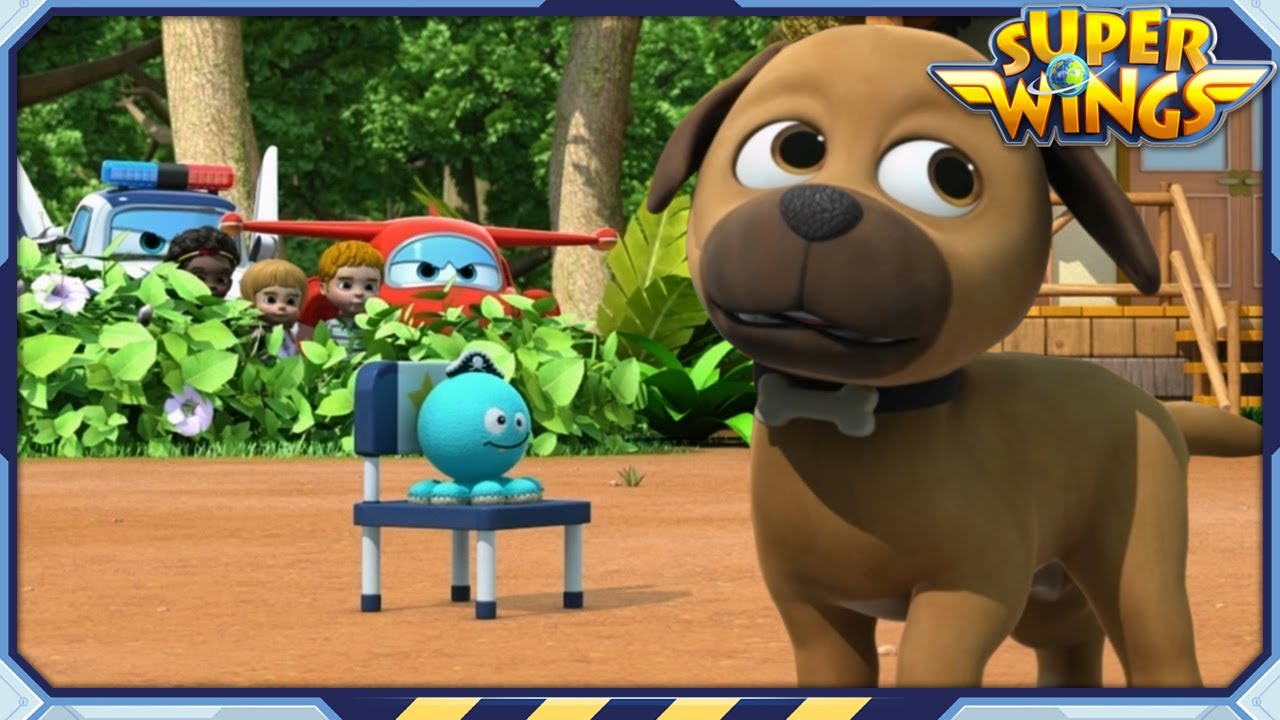 Superwings | Best | De achtervolging van het weggelopen dier | Verzameling van de beste afleveringen