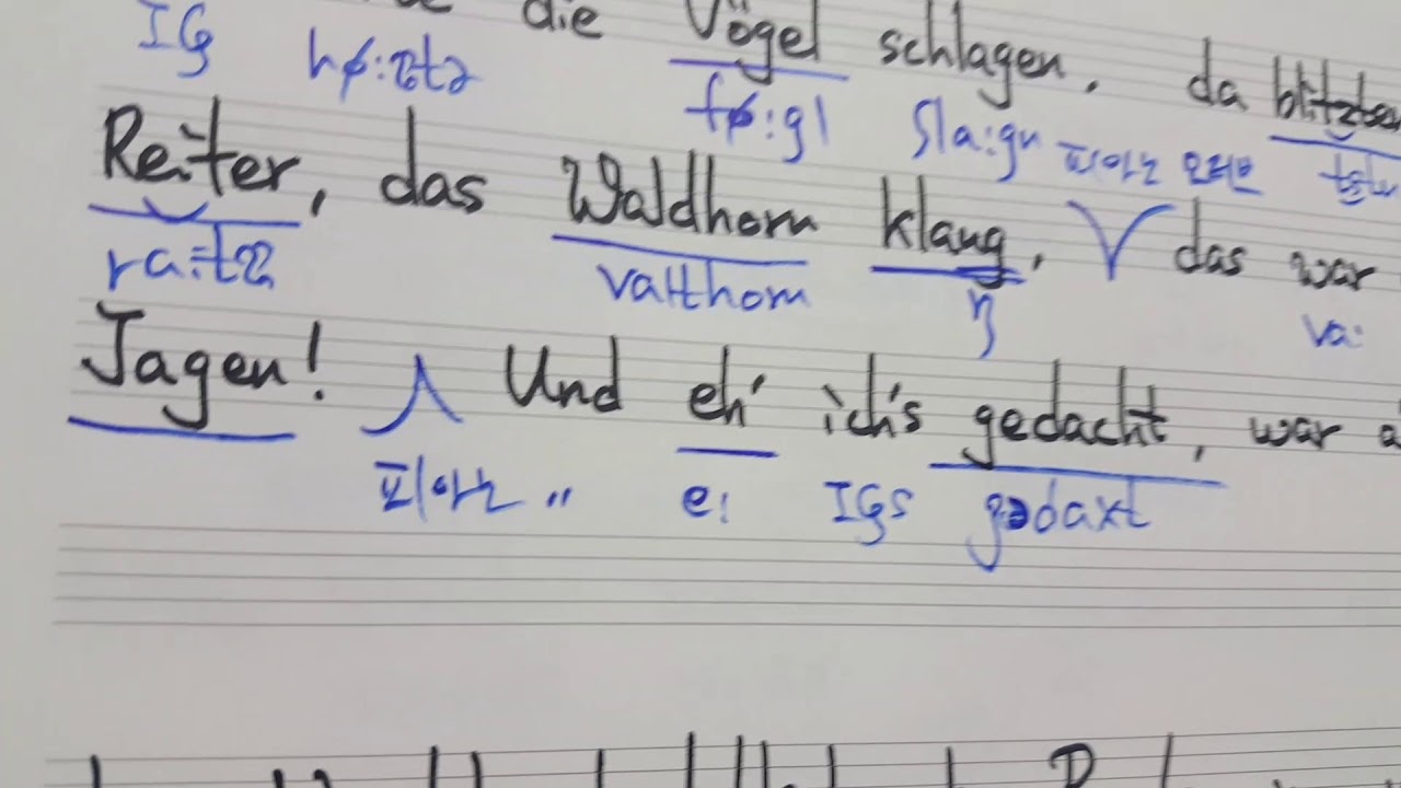 Schumann Liederkreis no.11 Im Walde 슈만 리더크라이스 숲속에서 가사 해설 명지영