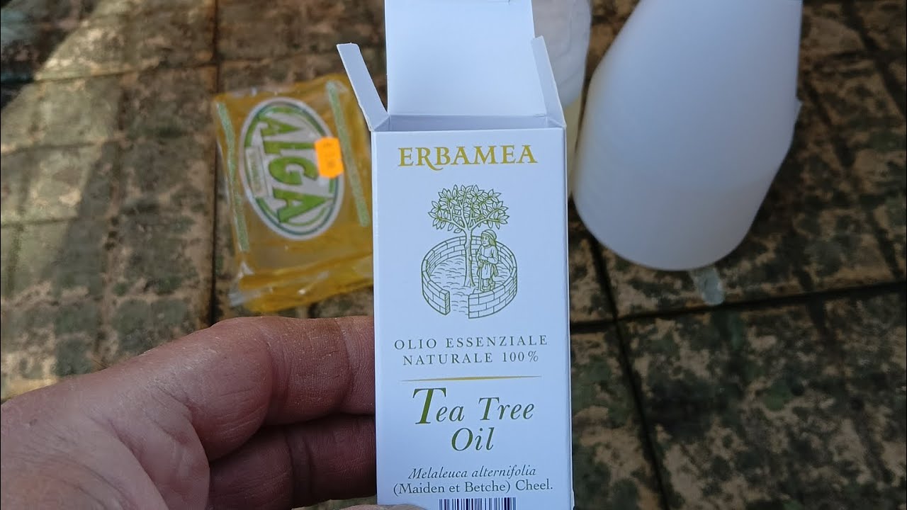 COME ELIMINARE LA FUMAGGINE E TUTTI I PARASSITI DAL LIMONE CON UN SOLO PRODOTTO ✌️🌿🌿🌿👌