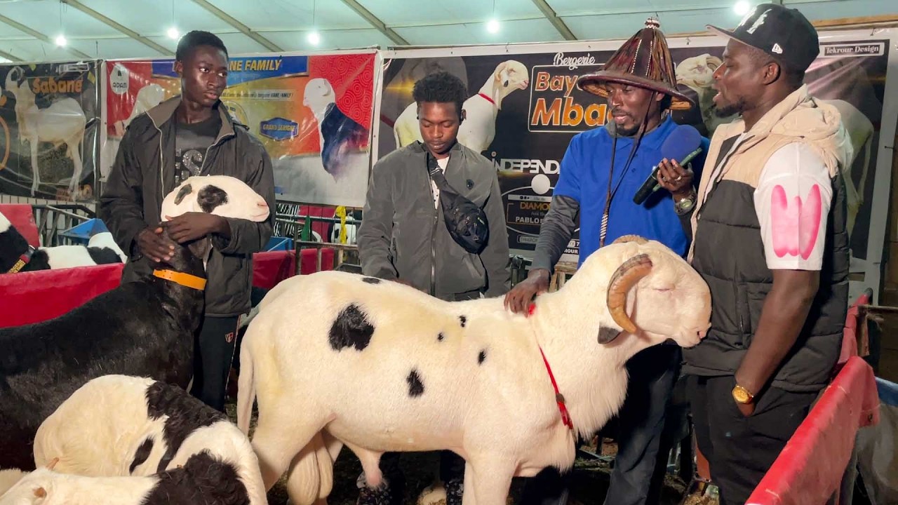 FOIRE RAMADAN BERGERIE BAYE KARIM MBACKE