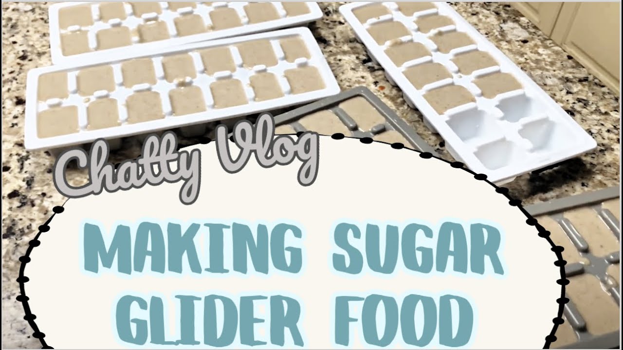 SUGAR GLIDER DIET EXPLAINED| making my sugar glider bml diet| chit chat with me| MyPawfectFamily