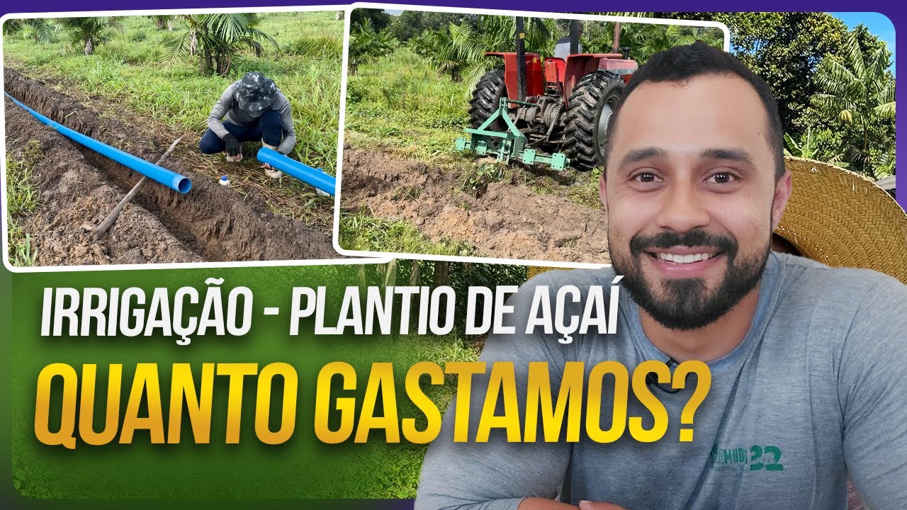 Irrigação para Plantio de AÇAÍ! Quanto gastamos? Foi CARO?