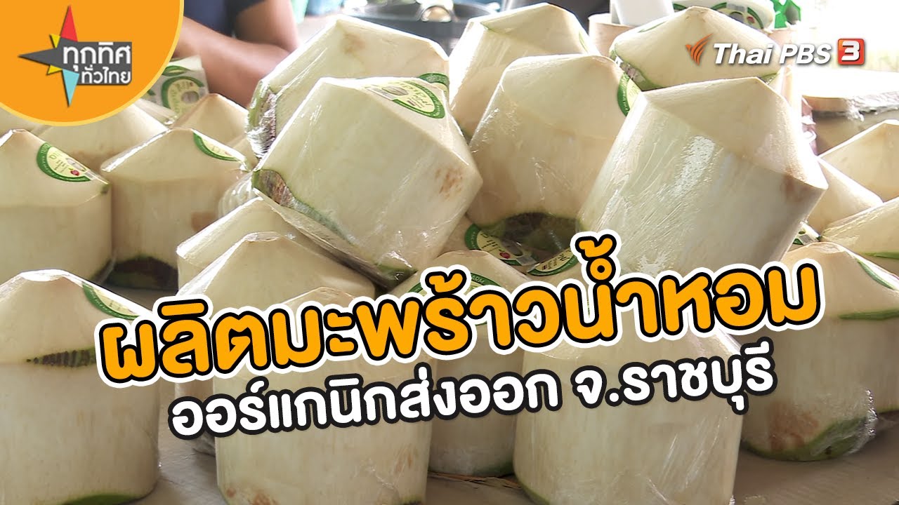 ผลิตมะพร้าวน้ำหอมออร์แกนิกส่งออก จ.ราชบุรี | อาชีพทั่วไทย