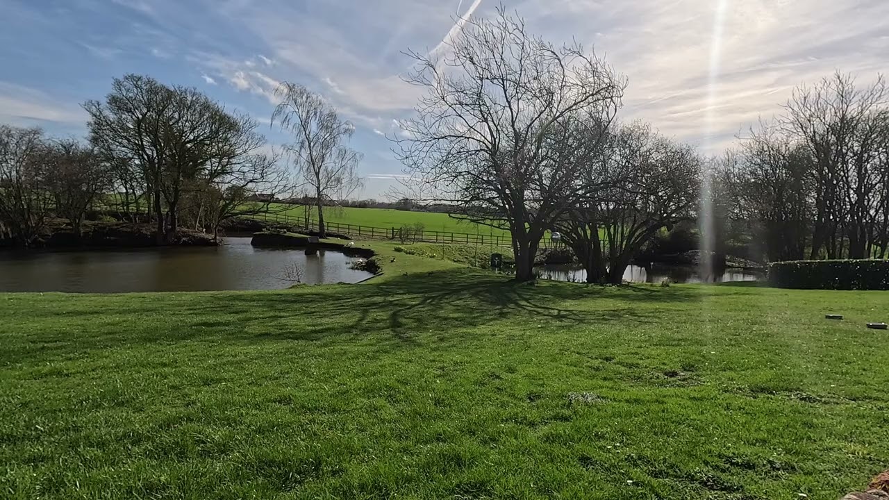 Sunny Daytime Garden Sounds 🌞 Birds & Ducks Nature Ambience (No Music, No Loop) ASMR