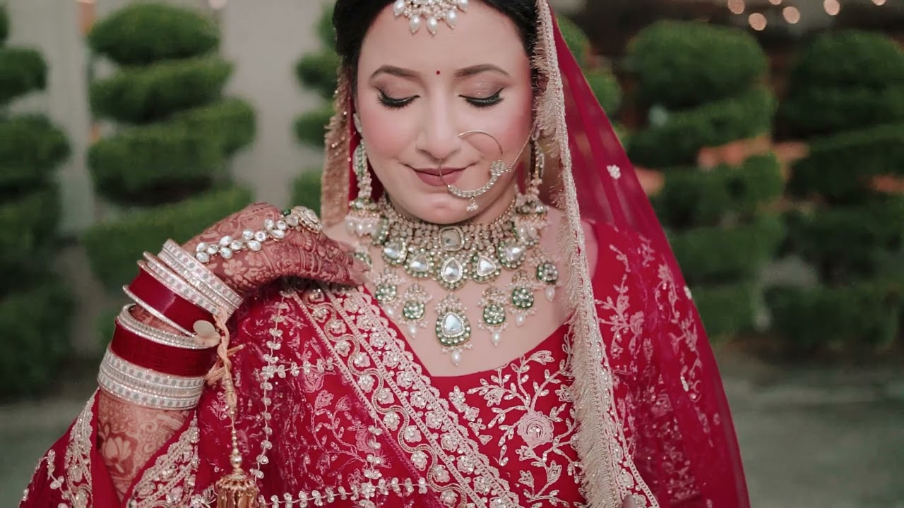 Wedding highlights 