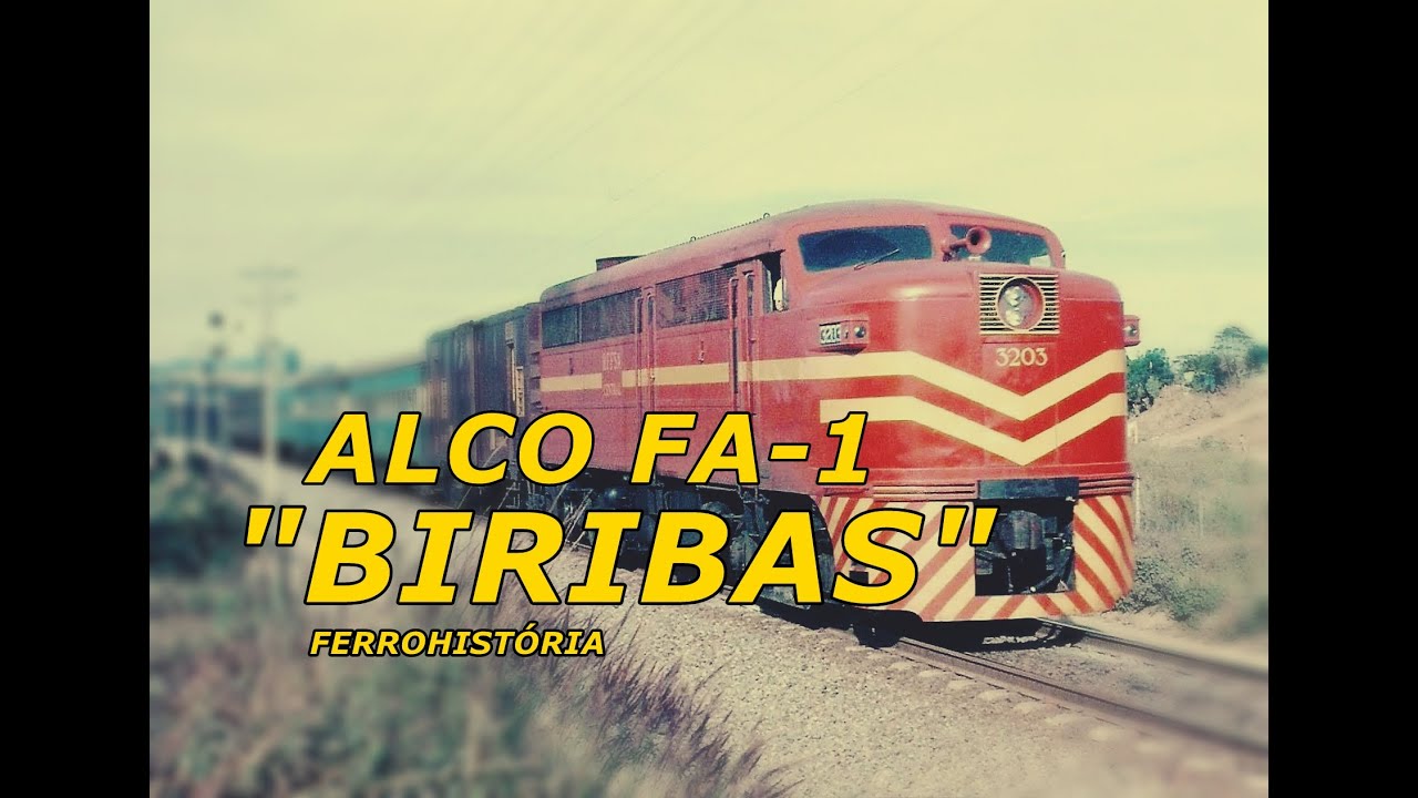 TINHA NOME DE CACHORRO! A História das 