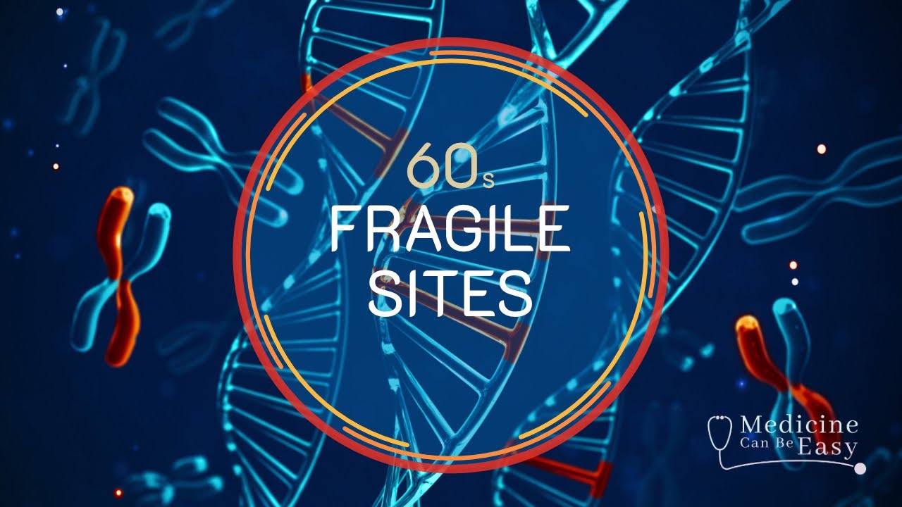 Genetics in 60 seconds: Fragile Sites