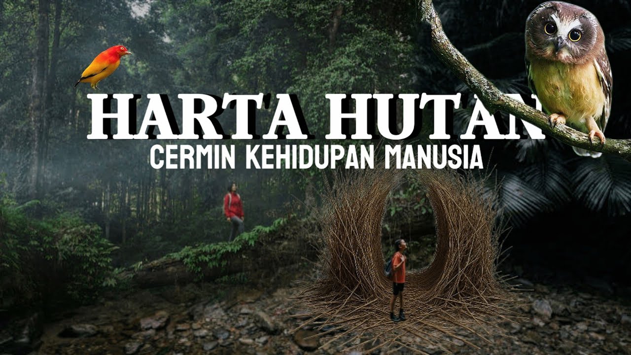 Dokumenter Alam: Terungkap! 13 Flora dan Fauna Paling Langka dari Alam Liar.