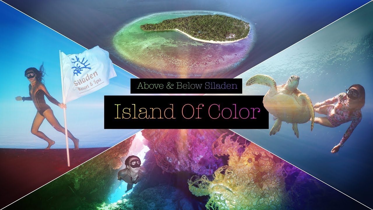 Siladen - Island Of Color (Freediving/Diving at Bunaken National Marine Park)
