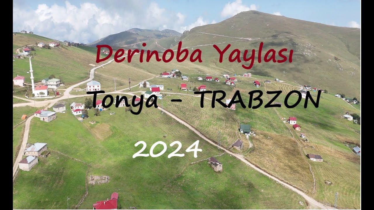 Derinoba Tonya 2024