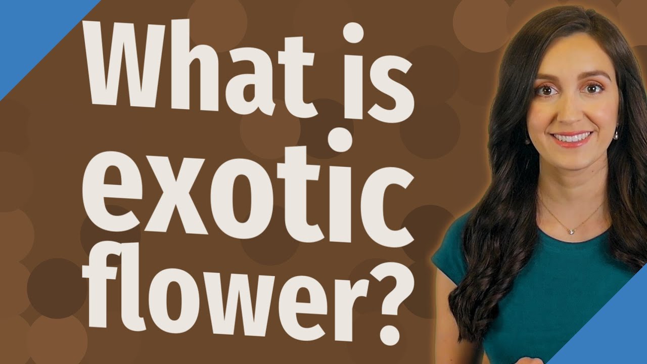 What is exotic flower?