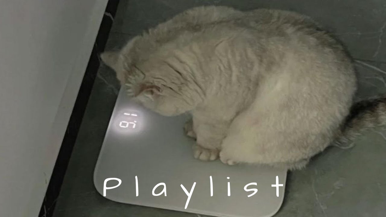 𝐏𝐥𝐚𝐲𝐥𝐢𝐬𝐭 첫 곡부터 chill한 인스타 감성 플리 🤍🎧 | chill r&b · soft pop