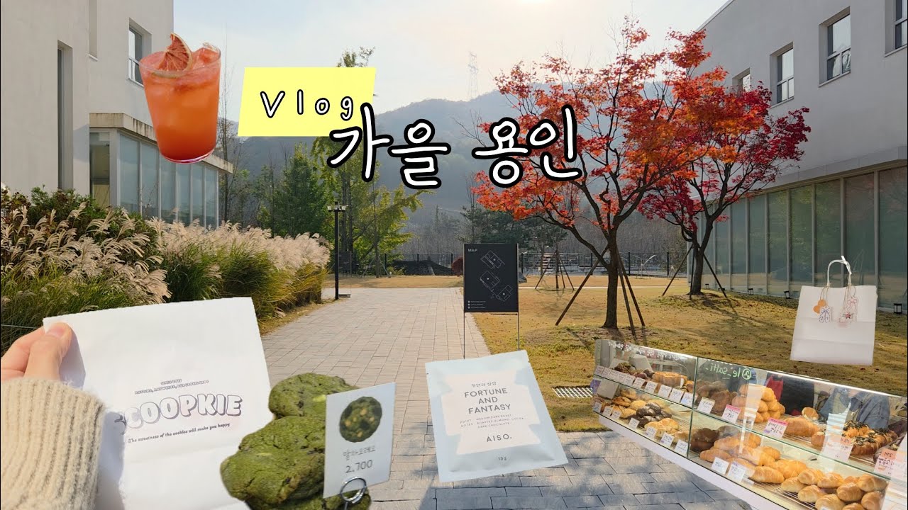 나혼자 Vlog. 단풍🍁보러 간 김에 안가면 섭섭한 곳. 스쿱키. 르솔티. 이쁜 카페가 참 많아. 
