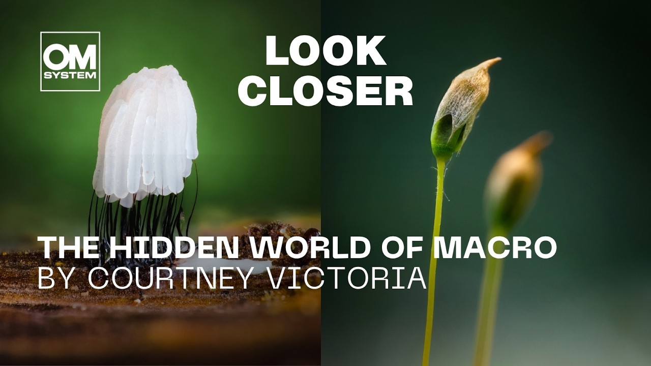 A Walk Through the Forest: Macro Photography with Courtney Victoria
