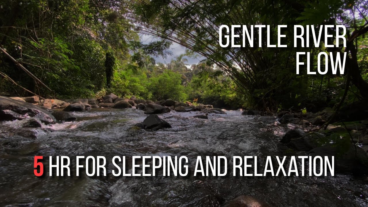 Gentle River Flow, Tranquil Forest Soundscape for Sleeping and Relaxation – 5 Hours
