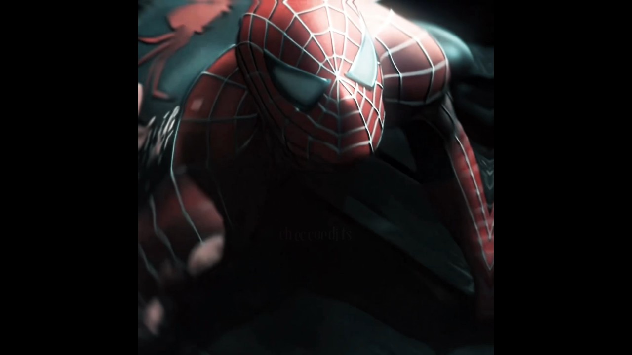 Spider-man 2 one of the best cinecomics.