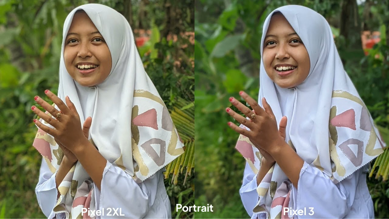 Pixel 2XL vs Pixel 3XL | Camera Comparison