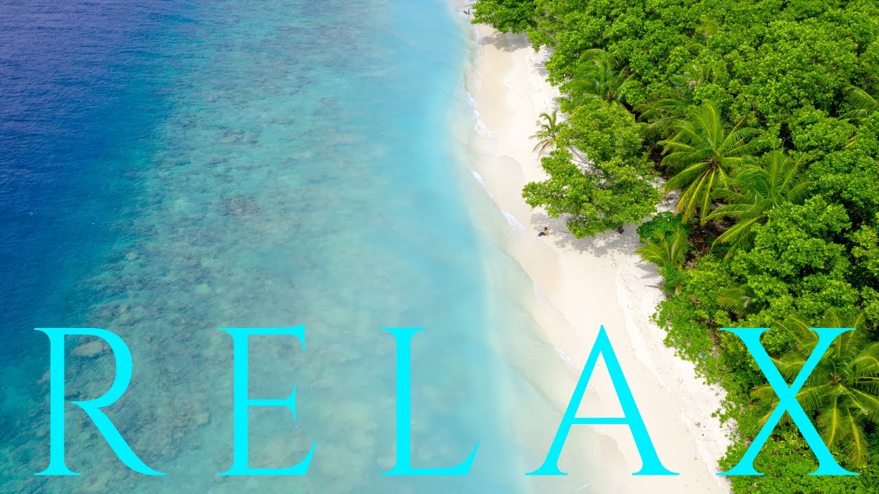 🌊paisajes relajantes🌴 caribbean beach🌞. playa caribe🐠. p&aacute;jaros tropicales. 🐦m&uacute;sica relajante💦
