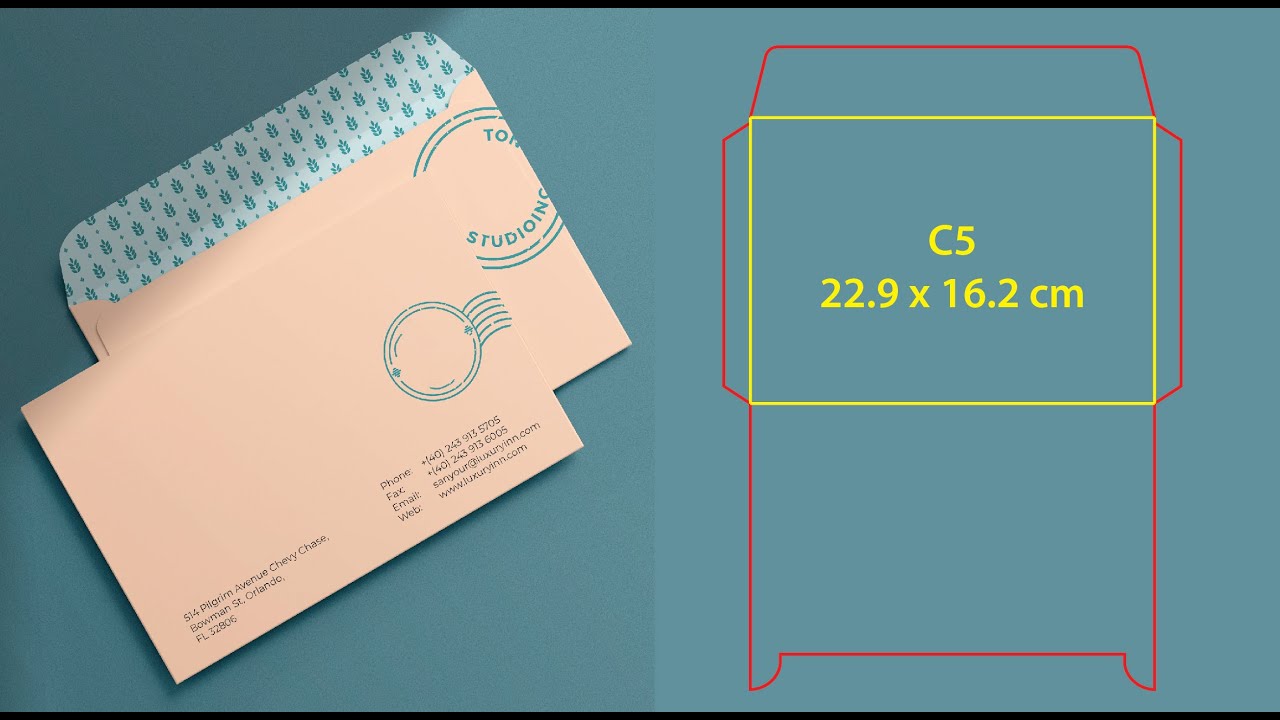 How to make C5 Envelope die cut / Die Line / Template Tutorial on adobe illustrator
