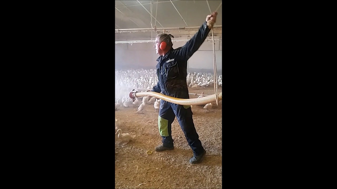 Teagle turbo mill