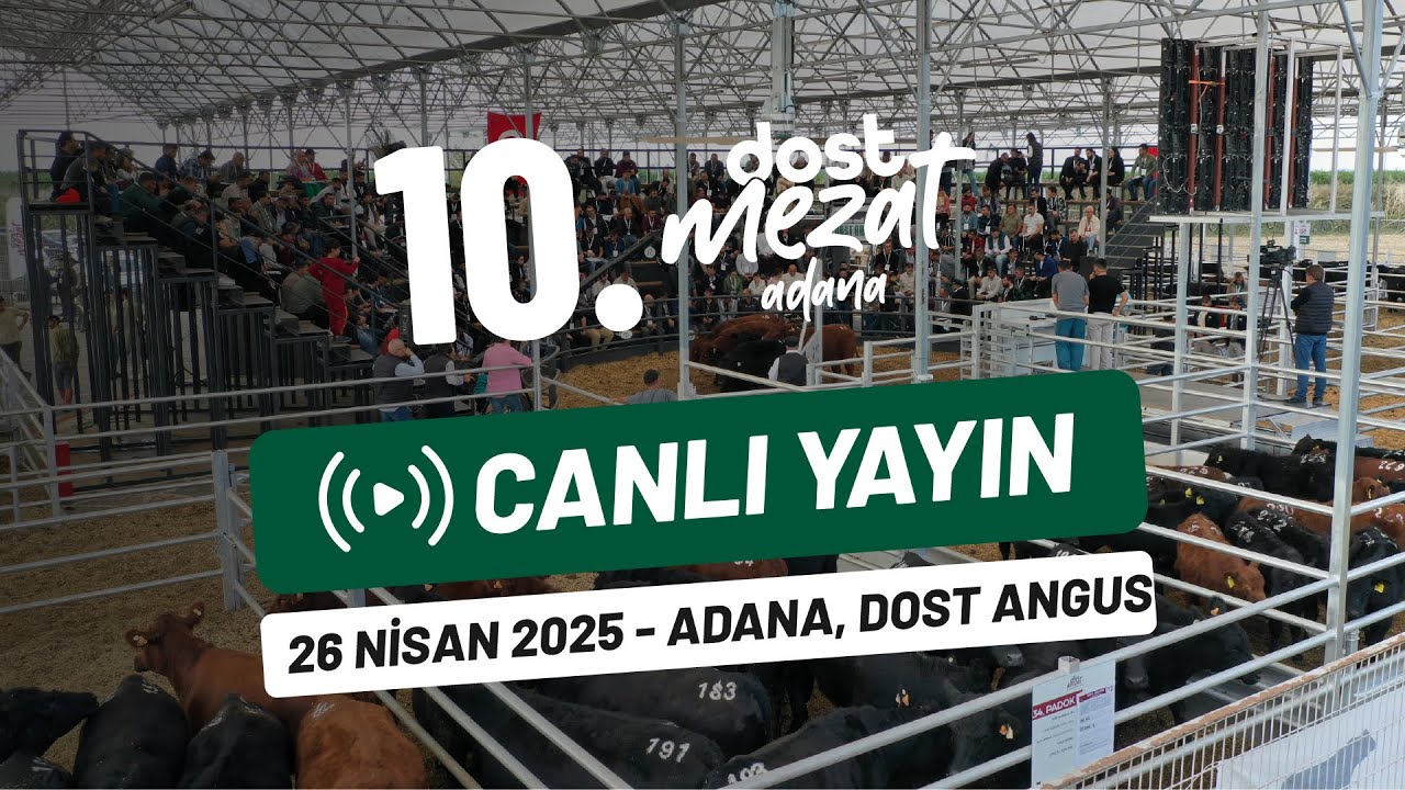 Dost Mezat | 10. Dost Mezat Etkinliği Canlı Yayın @Dost Angus
