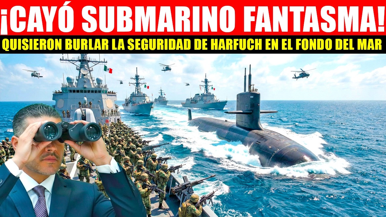 MIRA:¡HISTORICO! QUISIERON BURLARSE DE HARFUCH Y DESDE EL FONDO DEL MAR LOS MANDAN A SACAR